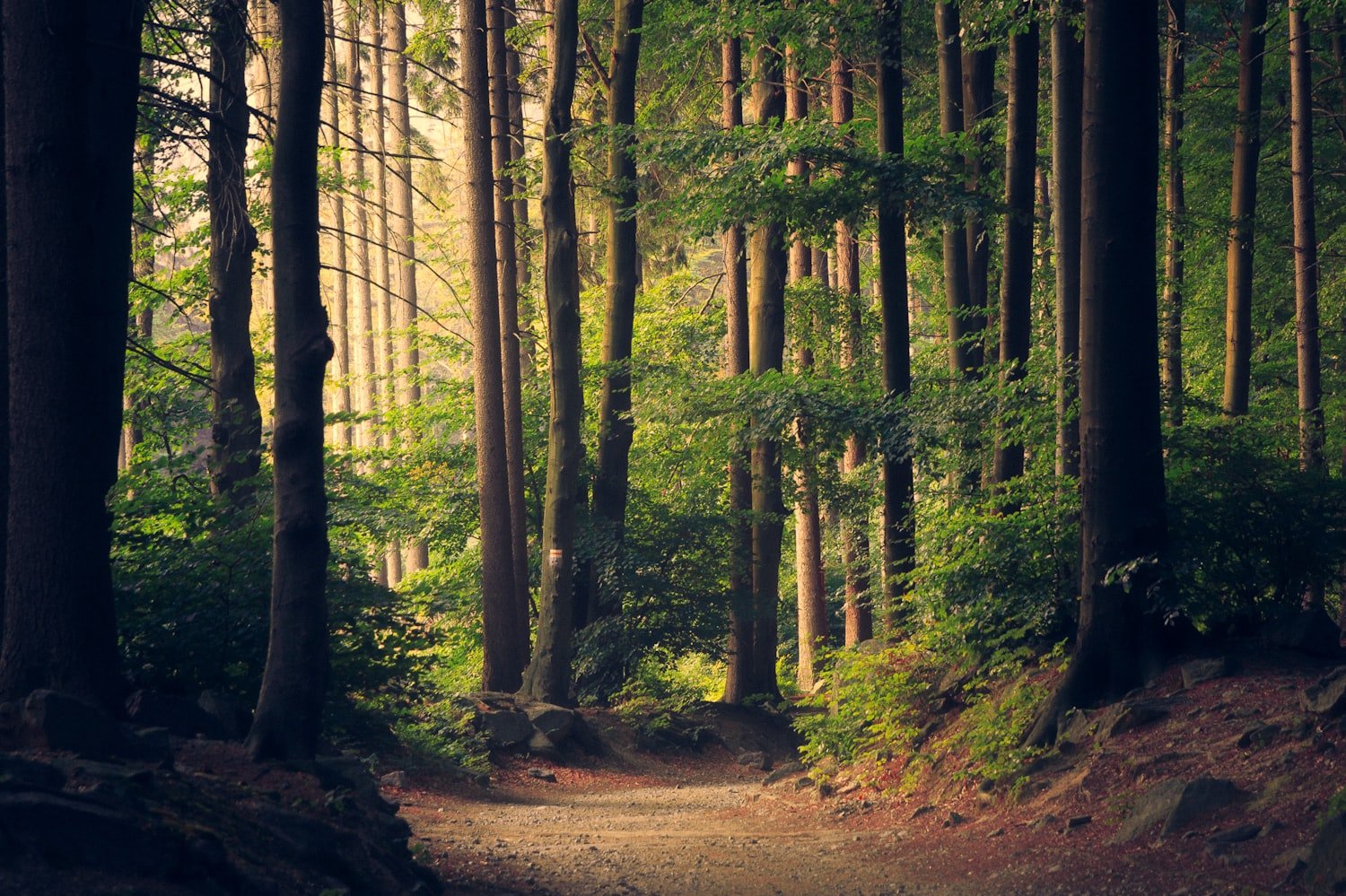 Vancouver Island, End to End: Ten Places Worth the Ferry