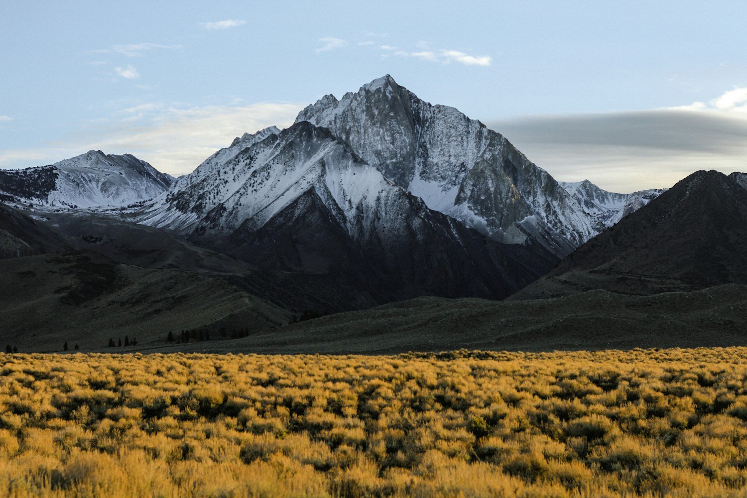 A snow peak rising over golden grassland