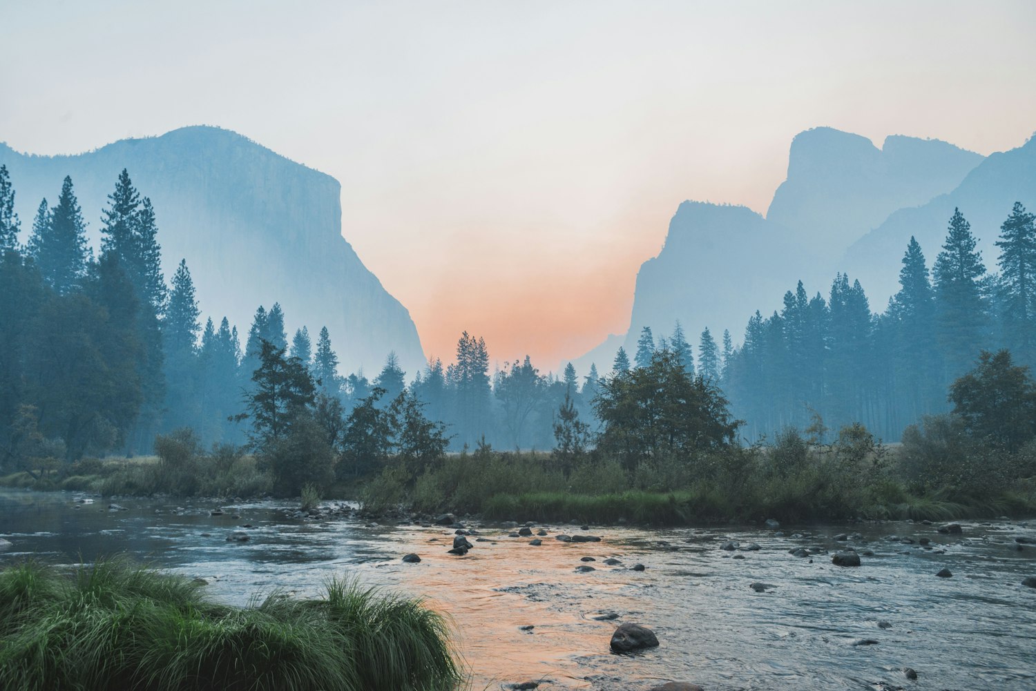 Boreal landscape